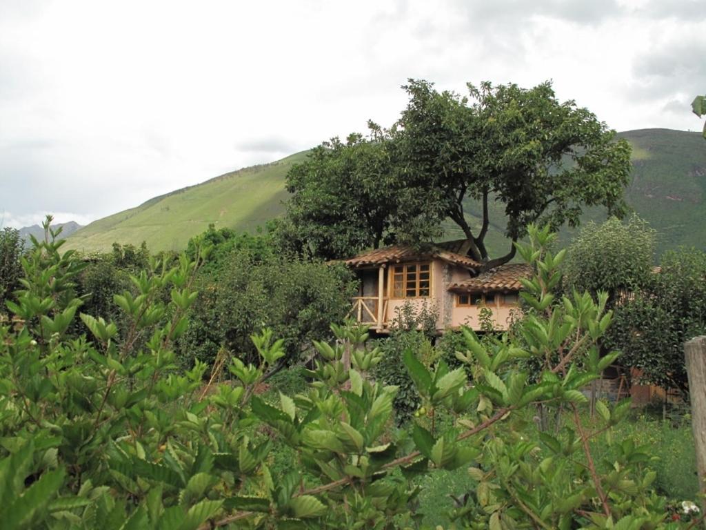 Appartamento Casa De Aida Calca Esterno foto