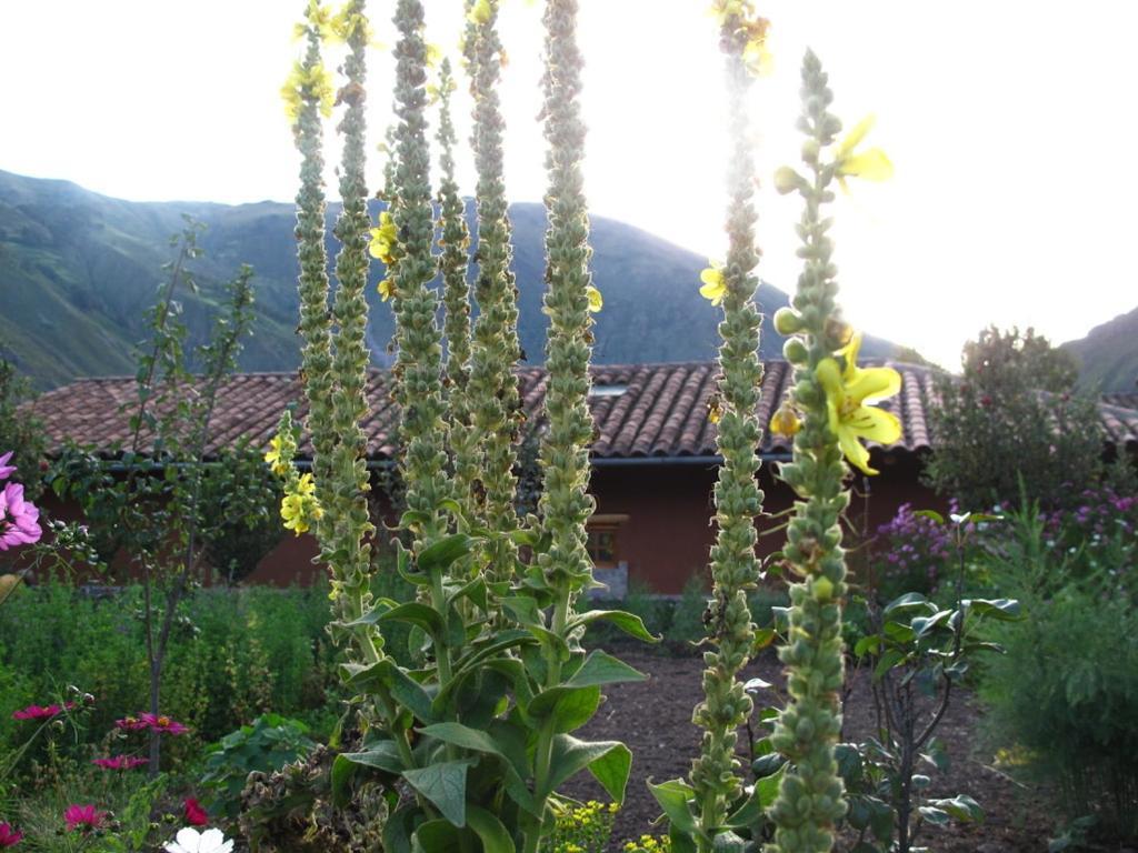 Appartamento Casa De Aida Calca Esterno foto